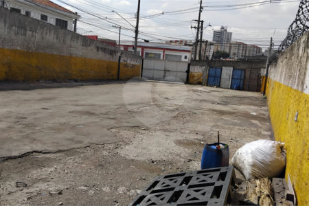 Terreno para alugar em Jardim Ivana, São Paulo, SP