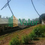 Sítio Estrada São Carlos Ribeirão - próximo São Carlos