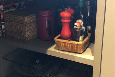 Apartamento à venda com 3 suítes em Vila Andrade, São Paulo, SP
