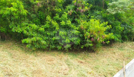 Terreno à venda em Loteamento Jardim do Sol (mailasqui), São Roque, SP