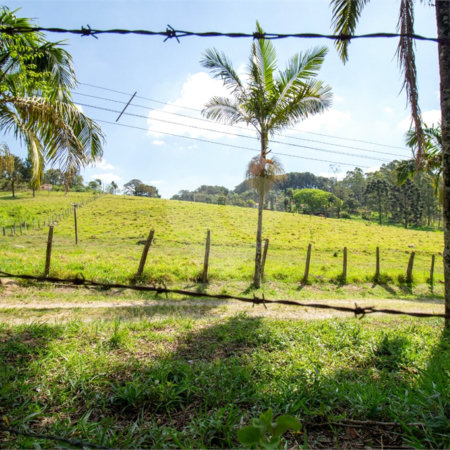Terreno à venda em Vila Darcy Penteado (mailasqui), São Roque, SP