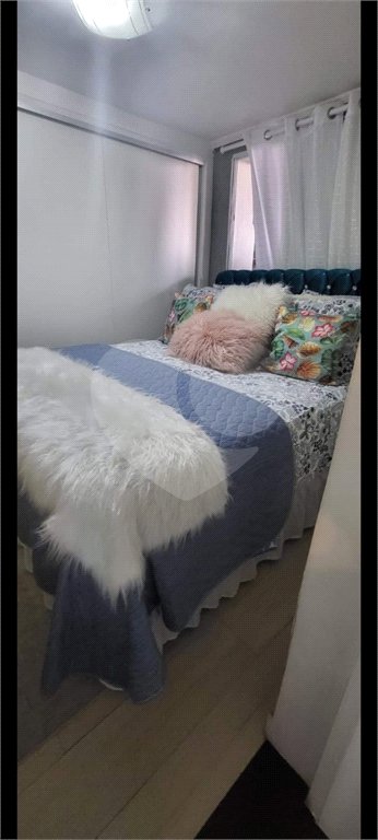 Casa Térrea à venda com 7 quartos, sendo 1 suíte, em Vila Paulicéia, São Paulo, SP