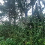 Condomínio à venda em Serra da Cantareira, Mairiporã, SP