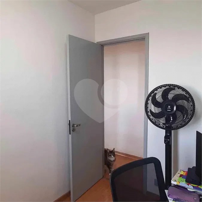 Apartamento à venda com 3 quartos, sendo 1 suíte,  em Vila Butantã, São Paulo, SP