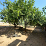 Terreno à venda em Núcleo Residencial Professor Carlos Aldrovandi, Indaiatuba, SP