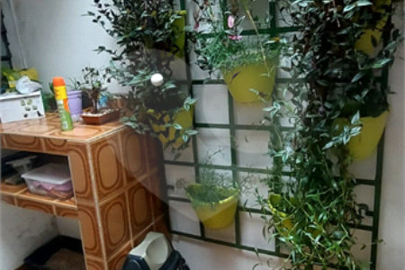 Casa à venda com 3 quartos, sendo 1 suíte, em Perdizes, São Paulo, SP
