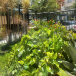 Apartamento à venda com 3 suítes em Vila Pompéia, São Paulo, SP