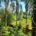 Terreno à venda em Morumbi, São Paulo, SP