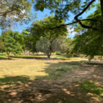 Terreno à venda em Dois Córregos, Piracicaba, SP