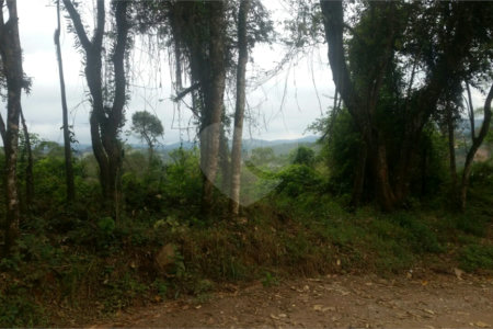 Terreno à venda em Caceia, Mairiporã, SP