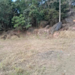 Terreno à venda no condomínio Itaguaçu da Cantareira, São Paulo - SP