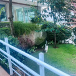 Apartamento à venda com 2 quartos, sendo 1 suíte, em Vila Clementino, São Paulo, SP
