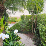 Apartamento à venda com 3 quartos, sendo 2 suítes, em Jardim Ampliação, São Paulo, SP