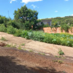 Terreno com 305,82 m² .