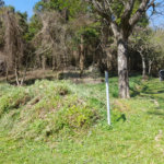 Loteamento à venda em Serra da Cantareira, São Paulo, SP