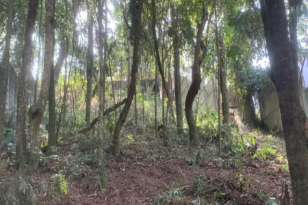 Terreno à venda em Jardim Peri Peri, São Paulo, SP