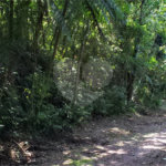 Terreno à venda em Serra da Cantareira, Mairiporã, SP