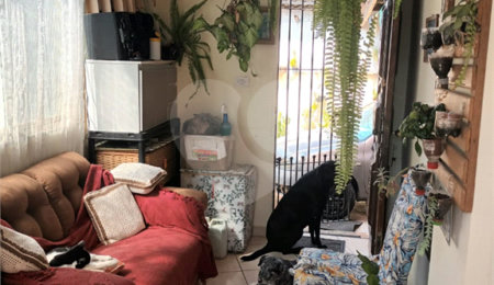Terreno à venda com 3 quartos em Vila Matilde, São Paulo, SP