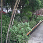 Apartamento à venda com 3 quartos em Tucuruvi, São Paulo, SP