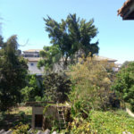 Terreno à venda em Vila Albertina, São Paulo, SP