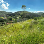 Área de Terra à venda em Clube dos Oficiais, Suzano, SP