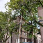 Apartamento à venda com 2 quartos em Parque Residencial da Lapa, São Paulo, SP