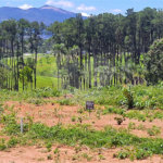 Terreno à venda no condomínio Estäncia Parque de Atibaia, Atibaia - SP