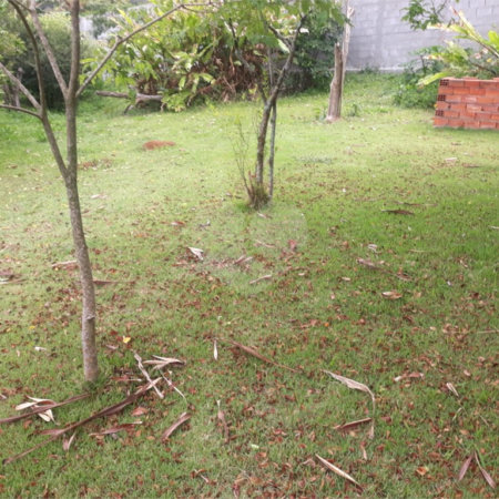 Terreno para alugar em Jardim Rene, São Roque, SP