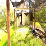Chácara à venda com 4 quartos, sendo 1 suíte, em Jundiacanga, Araçoiaba da Serra, SP