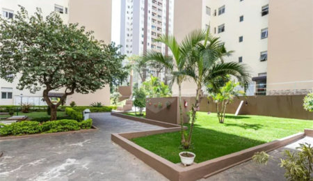 Apartamento à venda com 3 quartos em Vila Nova Cachoeirinha, São Paulo, SP