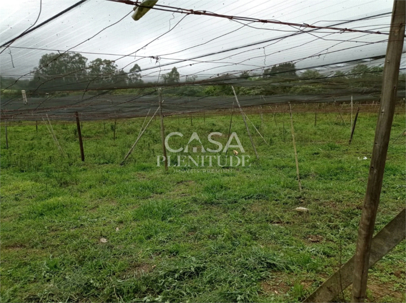Sítio à venda com 2 quartos em Gramadão, São Miguel Arcanjo, SP