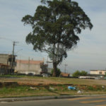 Terreno à venda em Jardim Ponte Alta I, Guarulhos, SP