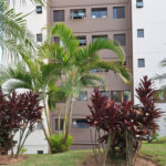 Apartamento à venda com 3 quartos em Horto, São Paulo, SP