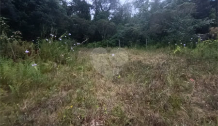 Terreno à venda em Boracéia, São Sebastião, SP