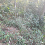 Terreno à venda em Serra da Cantareira, Mairiporã, SP