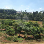 Terreno à venda em Boa Esperança, Paulínia, SP