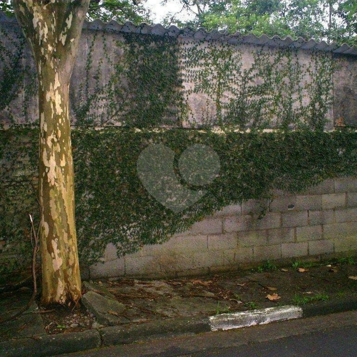 Terreno à venda em Morumbi, São Paulo, SP
