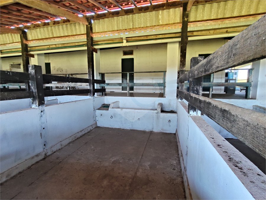 Fazenda para alugar com 3 quartos em Vila Santana, Itapetininga, SP