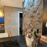 Apartamento à venda com 3 quartos, sendo 1 suíte,  em Vila Zilda (tatuapé), São Paulo, SP