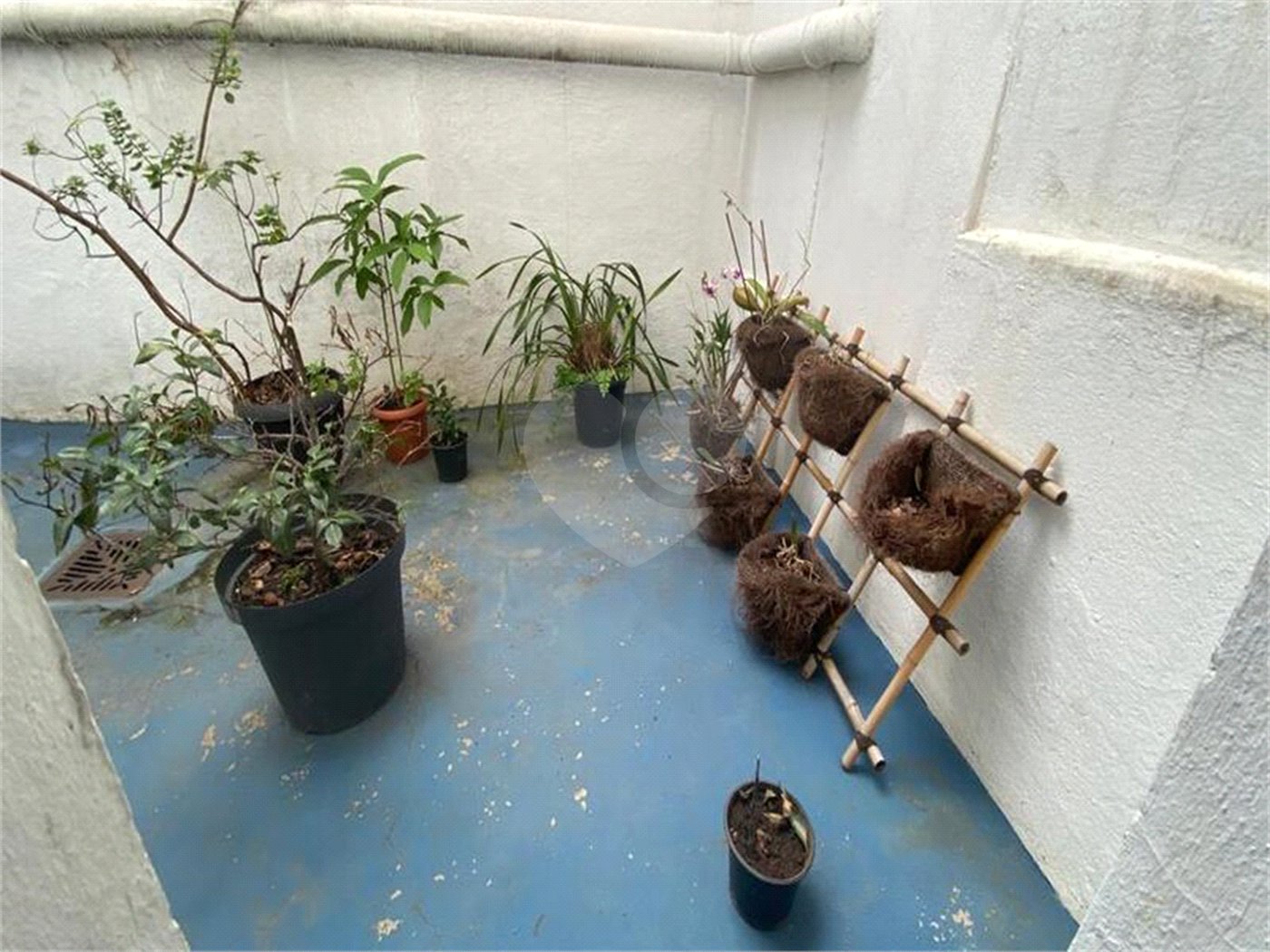 Casa Térrea à venda com 3 quartos, sendo 1 suíte, em Santa Teresinha, São Paulo, SP