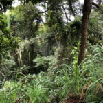Terreno à venda no condomínio Gleba E2, Mairiporã - SP