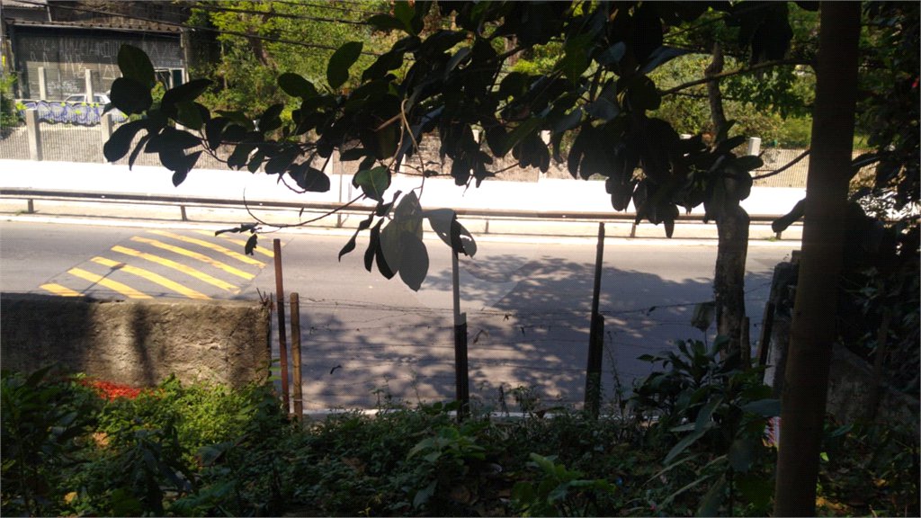 Terreno à venda em Vila Albertina, São Paulo, SP