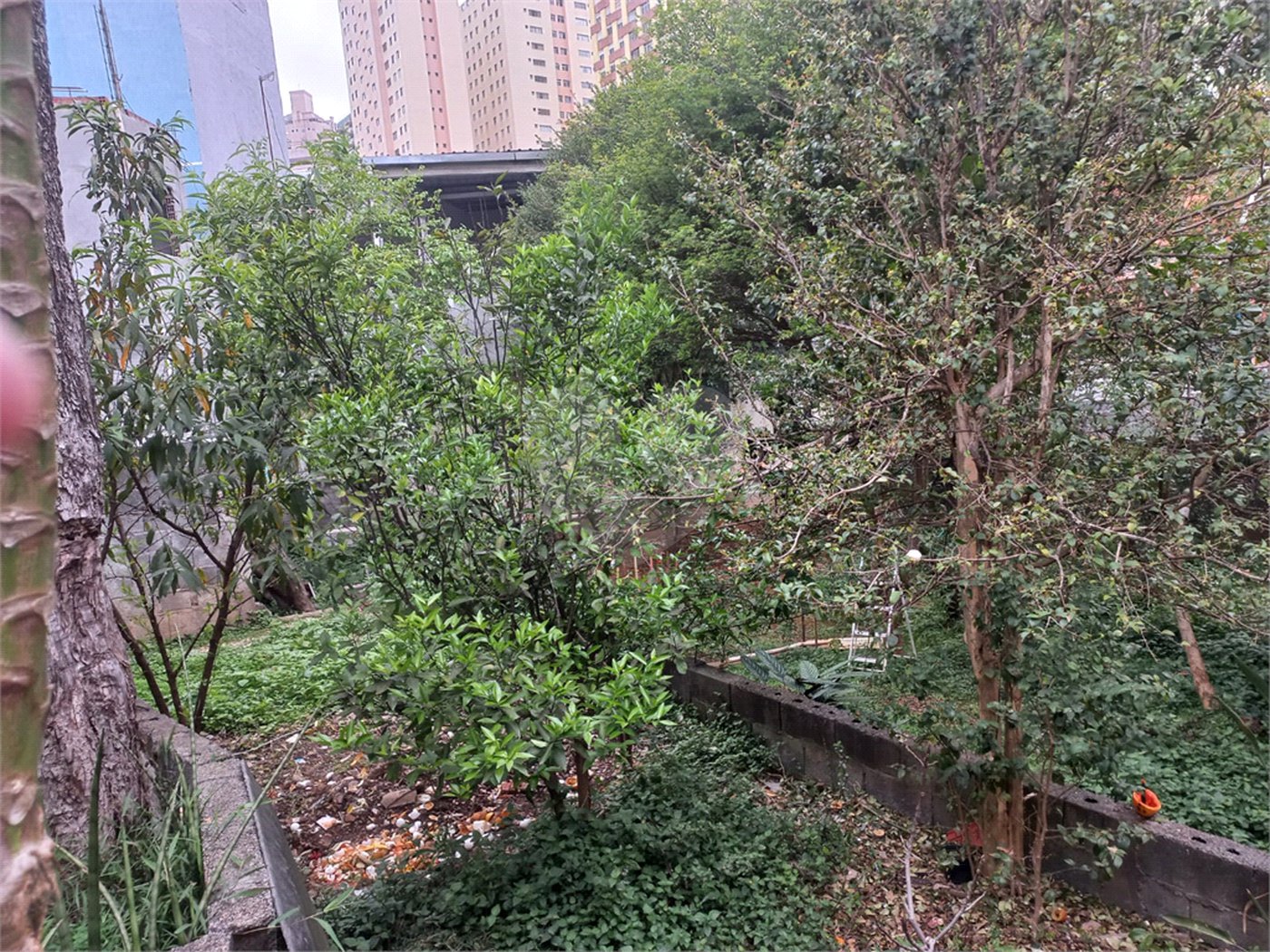 Terreno à venda em Santana, São Paulo, SP