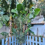 Casa à venda com 3 quartos, sendo 2 suítes, no condomínio Vinhas da Vista Alegre - Lado Café, Vinhedo - SP
