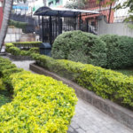 Apartamento à venda com 2 quartos em Freguesia do Ó, São Paulo, SP