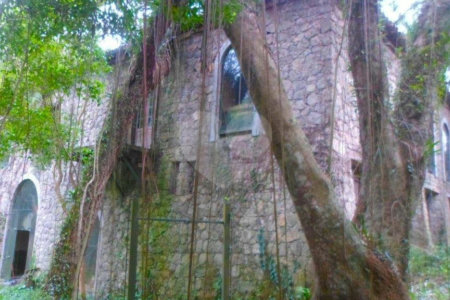 Terreno à venda com 1 suíte no condomínio Chácara Flora, São Paulo - SP