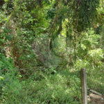 Terreno à venda ou para alugar no Centro, Atibaia, SP