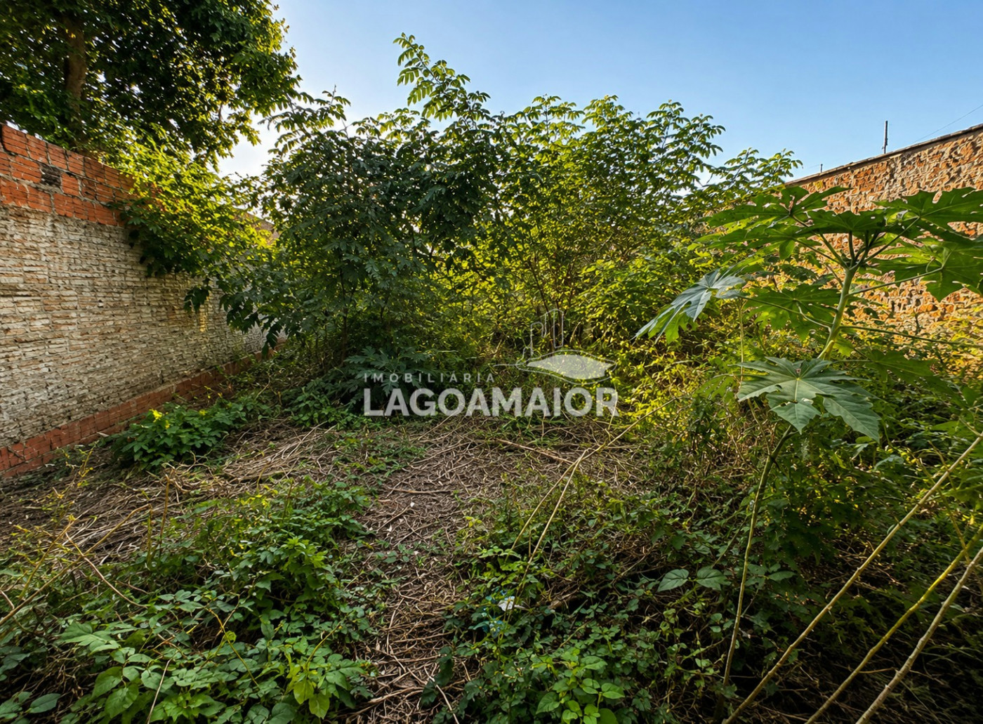 Terreno à venda em Jardim Das Acácias, Três Lagoas, MS