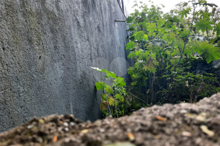 Terreno à venda em Chácara Monte Alegre, São Paulo, SP