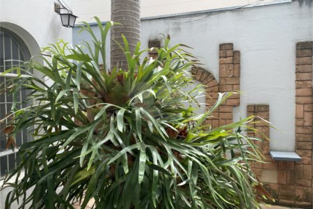 Casa à venda com 3 suítes em Jardim Leonor, São Paulo, SP